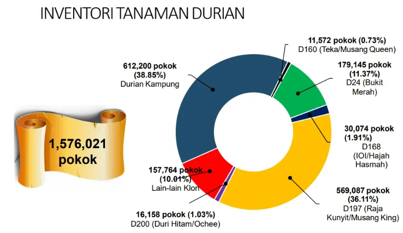 durian info